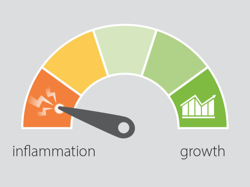 inflammation demands energy that's not used for growth
