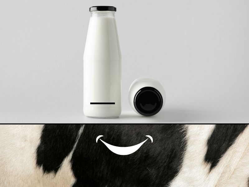 Mouse pads cattle_800x600px